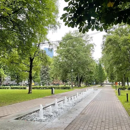 Appartement Spacious In Center *